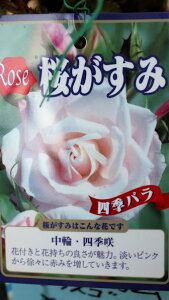 ԕc@oc؁@lG炫֕iu݁vxt4O|bgcyn著z