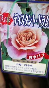 ԕc@oc؁@lG炫֕iufBX^gEhvxt4O|bgcyn著z
