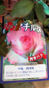 ԕc@oc؁@lG炫֕iu}`_vxt4O|bgcyn著z