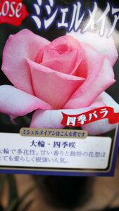 ԕc@oc؁@lG炫֕iu~VFCAvxt4O|bgcyn著z