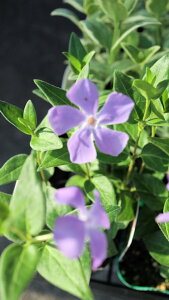 ԕc@ϊ鐫N@cj`j`\E@Ηt@xt3|bgc