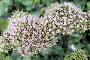 ԕc@N`h@[iEM\Ejxt3,5c@