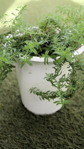 ԕc@ϊΑN@TcW@^i@5TCYyn著z