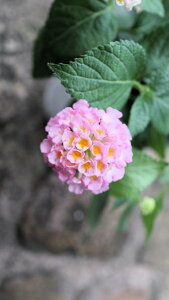 t؁@^i@noiwTCYxFԁ@xt3,5c