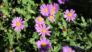 ԕc@h@uLJ@uXR@CIbgihqRXXjxt3O|bgc@