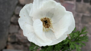 ԕc@ϊN@Allw|gxԐF3F@xt3|bgc@