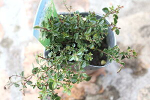 J[[tc@tHbNX[^C@xt2,5c