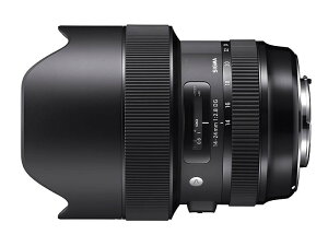 VO} 14-24mm F2.8 DG HSM Lm