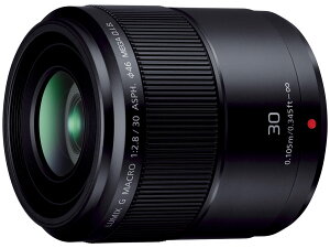 Panasonic LUMIX G MACRO 30mm / F2.8 ASPH. / MEGA O.I.S. H-HS030