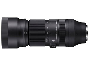 �V�O�} 100-400mm F5-6.3 DG DN OS �\�j�[E
