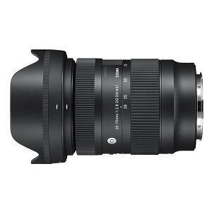 �V�O�} 28-70mm F2.8 DG DN ���C�JL