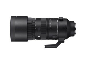 �V�O�} 70-200mm F2.8 DG DN OS Sports �\�j�[E