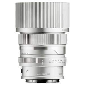 �V�O�} 65mm F2 DG Contemporary ���C�JL �V���o�[