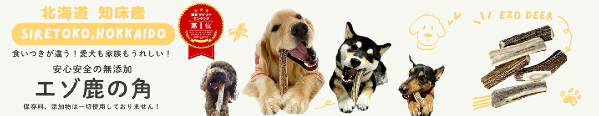 エゾ鹿の角