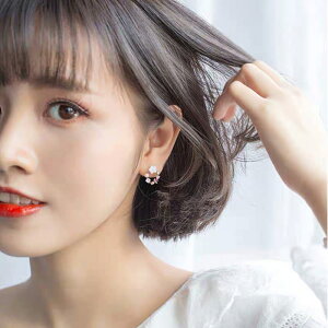 uvsAX XtXL[  fB[XANZT[ v[g ޏ  a NX}X l   AM[ w  Ǝ