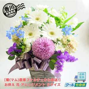 Vye(})_ƃt@`F璼!zyzy①ւł͂z  AWg STCY   AW  t[AW @    