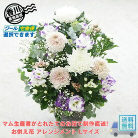 【値下げしました】マム生産者がとれたてのお花で制作直送! お供え花 アレンジメント Lサイズ 【送料無料】【配送日指定】【贈答に最適】いつも新鮮 仏花 生花 お悔やみ フラワーアレンジ 法事 供花 命日 初七日 四十九日 法要 一周忌 お盆 彼岸 ペット 【当店オススメ】