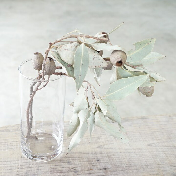 楽天市場 自家栽培のドライフラワー ユーカリトランペット Sサイズ ドライフラワー 誕生日プレゼント 花 誕生日 プレゼント ギフト プリザーブドフラワー ドライ フラワー 花束 バンチ 飾り 玄関 リビング 部屋 壁 ドア おしゃれ ファルチェ 楽天市場店 楽天市場 自家栽培のドライフラワー ユーカリトランペット Sサイズ ドライフラワー 誕生日プレゼント 花 誕生日 プレゼント ギフト プリザーブドフラワー ドライ フラワー 花束 バンチ 飾り 玄関 リビング 部屋 壁 ドア おしゃれ ファルチェ 楽天市場店