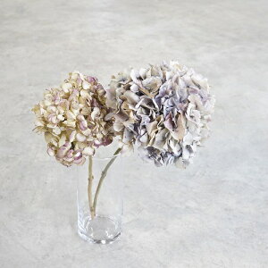 ドライフラワー 花束 プレゼントの人気商品 通販 価格比較 価格 Com