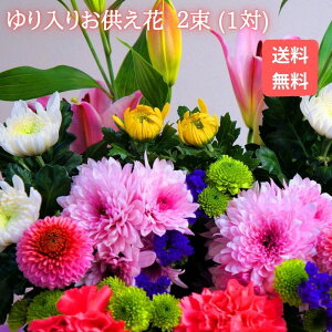 yl܂z\w 肨2Zbg()J[l[VJ[Iyzyzwł܂zeY VN Y  ԑ  ~ ފ { 