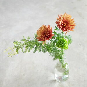 yɏ{̃}ƋG߂̂Ԃ̒ STCY 1R[X(S6)yN[ւł͂z } e Ԃ̒ Еz