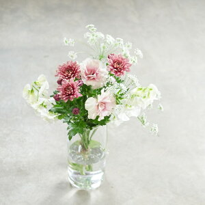 w yɏ{̃}ƋG߂̂Ԃ̃Zbg yMTCYz yN[ւł͂z  } e G߂̂  ԑ Y v[g Mtg