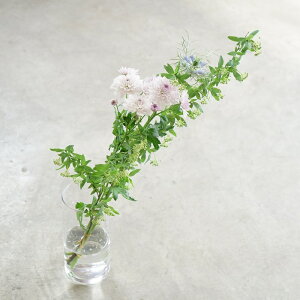 w yɏ{̃}ƋG߂̂Ԃ̃Zbg ySTCYz yN[ւł͂z } e G߂̂  ԑ Y v[g Mtg