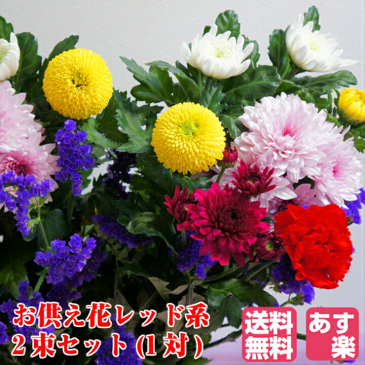 楽天市場 あす楽購入用 お供え花 2束セット 一対 カーネーションカラー レッド 送料無料 菊生産者 新鮮 国産 生花 花束 仏花 お盆 彼岸 供養 お悔やみ お墓参り 墓花 輪菊 法要 法事 月命日 贈答 お供え花 供花 1対 母の日参り 当店オススメ 迎春正月 父の日