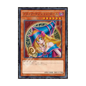 GXJC(ENSKY) VYfGX^[Y ubNE}WVEK[ 51×73.5cm WO\[pY 1000s[X JIGSAW PUZZLE 1000T-386