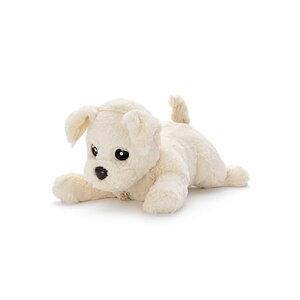 ^Jg~[ q[Op[gi[V[Y Ƃ肱_bL[ oj F J[ ]g  F ׂ ybg  FmǑ΍