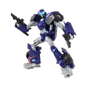 gXtH[}[ ESD-13 DX enbV^O