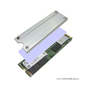 eaY 쏊 M.2 SSDpq[gVNJo[SS-M2S-HS02