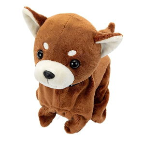 ZKgCY(SEGA TOYS) RR Premium `