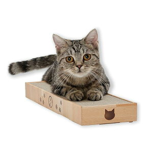 L(necoichi)oopbh X (CguE)