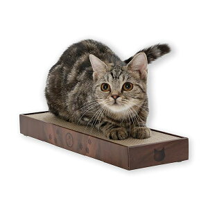 L(necoichi)oopbh X (_[NuE)