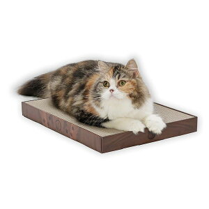 Linecoichijoopbh ChvX (_[NuE)