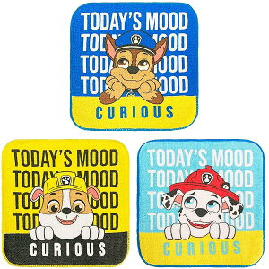 林(Hayashi) ミニタオル 3柄組 約16×16cm パウパトロール ムード PO462500