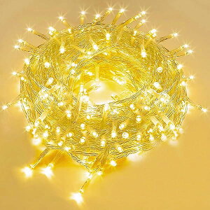 SUCCUL C~l[V O h LED C~l[VCg NX}X Cg 10m 100 A XgOCg