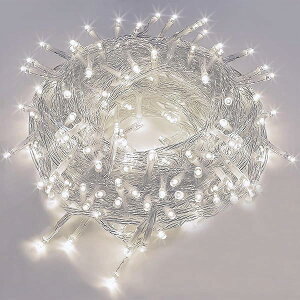 SUCCUL C~l[V O h LED C~l[VCg NX}X Cg 10m 100 A XgOCg