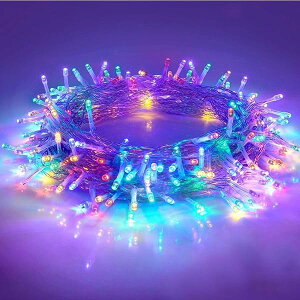 SUCCUL C~l[V O h LED C~l[VCg NX}X Cg 10m 100 A XgOCg