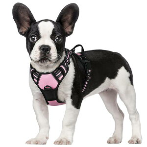 Rabbitgoo  n[lX ^ 5-15KG \tg 킢 p h~ SȂ TCY Ԕ Ȃ ʋC Pݖh~ U s⏕ V  ^ 