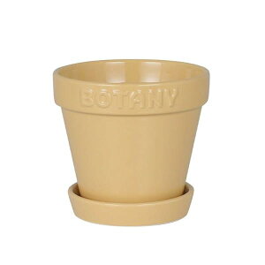 _g(Dulton) {^j[ |bg 4 x[W G{XSƃA[XJ[ōʂAؔ BOTANY 4 11.3cm a12cm G21-0395S/BE