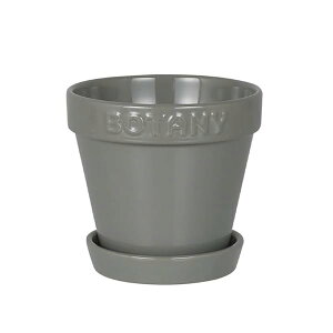 _g(Dulton) {^j[ |bg 4 O[ G{XSƃA[XJ[ōʂAؔ BOTANY 4 11.3cm a12cm G21-0395S/GY