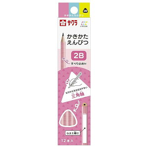 �T�N���N���p�X �����������M ���w������ 2B �O�p G�G���s�c2B#20 �s���N 12�{