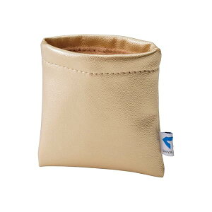 _CSt(DAIYA GOLF) {[N[i[ {[Cp[ S[h AS-146