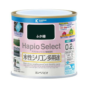 JynsI(Kanpe Hapio) yL h  ₠ ӂ 0.2L VRpr { nsIZNg 00017650381002