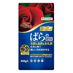 ZFw| 엿 }C[Y ΂̔엿 450g  o KN  ǔ 