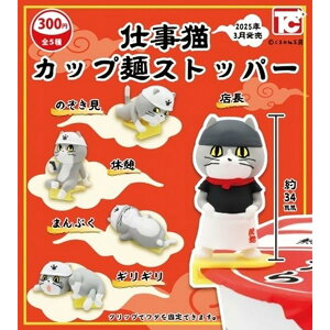 dL Jbv˃Xgbp[ × S5Zbg tRv K`K` JvZgC