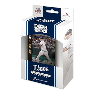 v싅J[hQ[ DREAM ORDER pE[O X^[gfbL ʐCIY