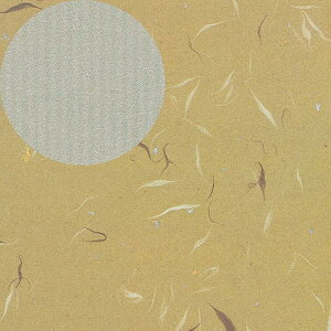 wCR[   ㎿  50 002401701